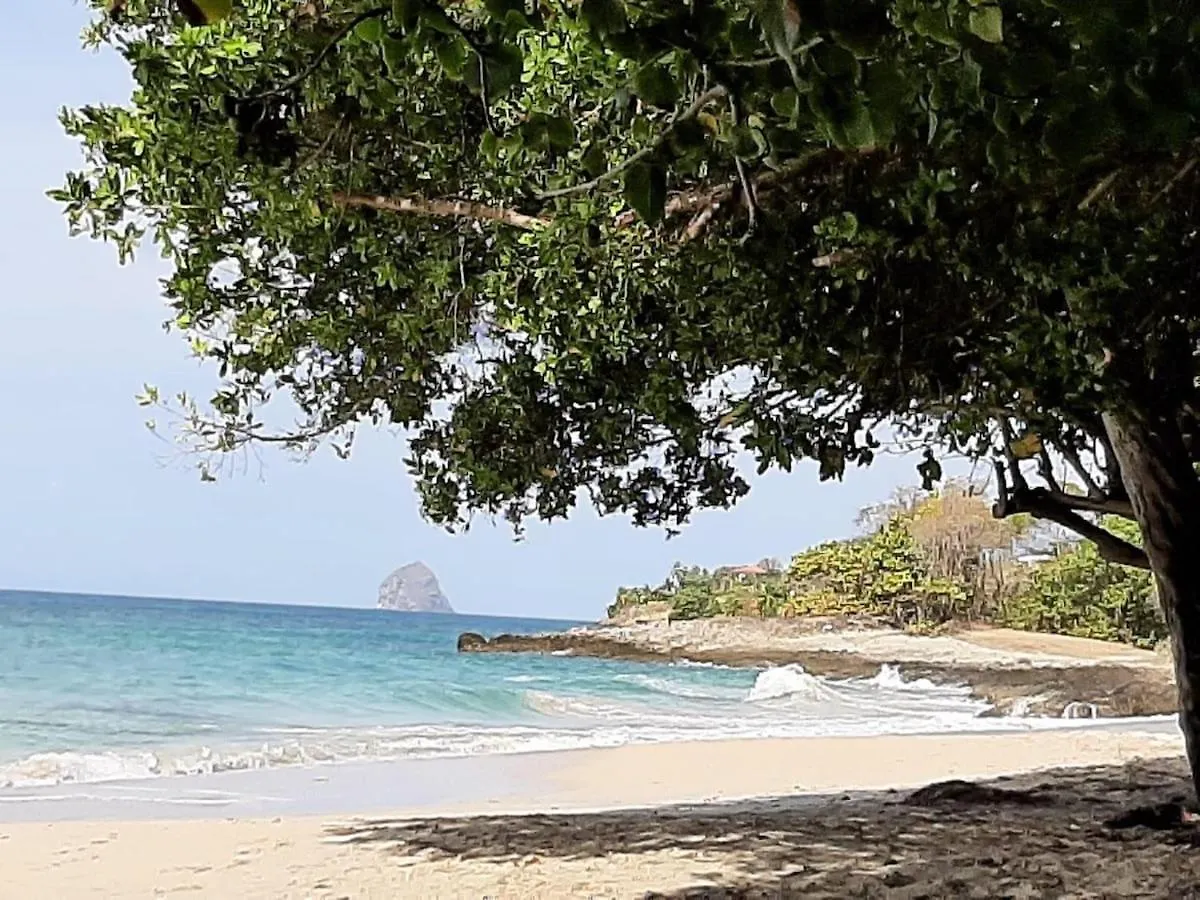 Le P'Ti Mabouya Apartment Sainte-Luce 0*,  Martinique